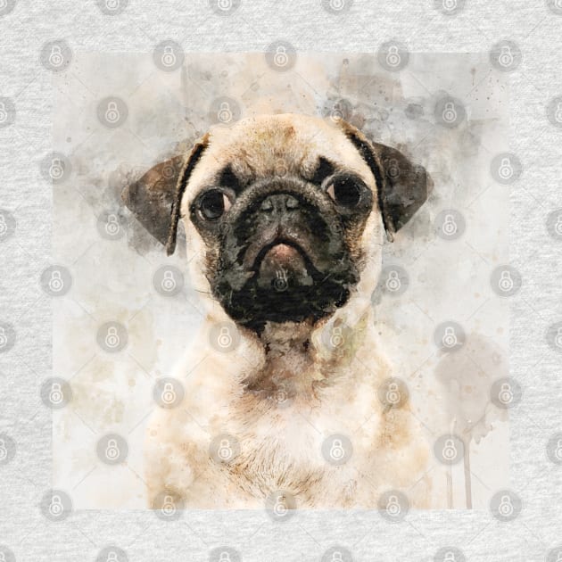 Pug Dog Watercolor Portrait 01 by SPJE Illustration Photography